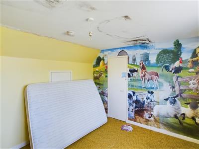 Picture 44